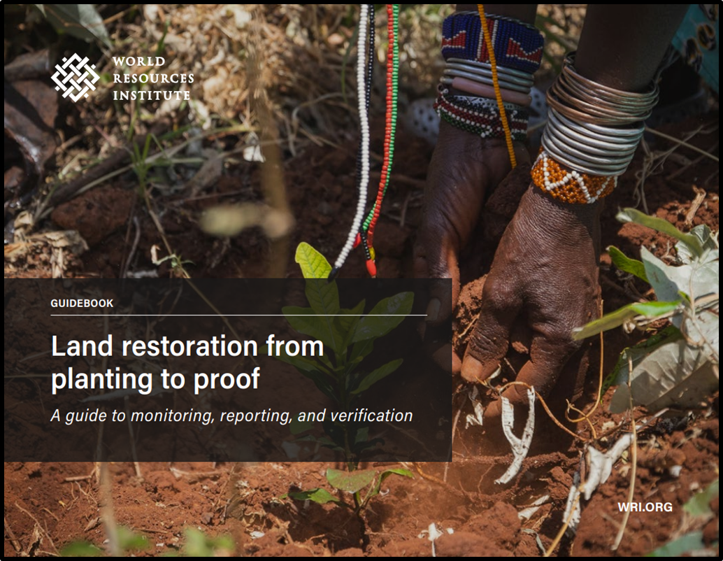 Land restoration from planting to proof: A guide to monitoring, reporting, and verification