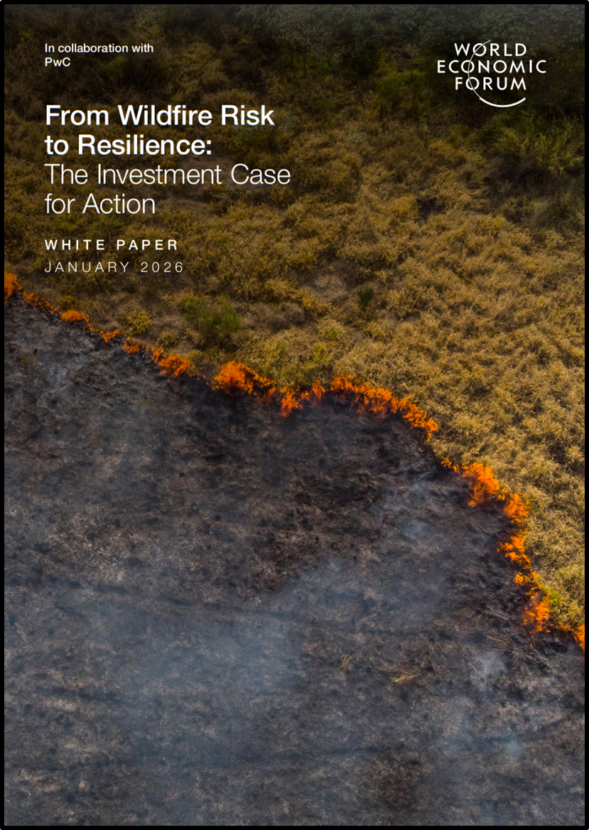 From Wildfire Risk to Resilience: The Investment Case for Action