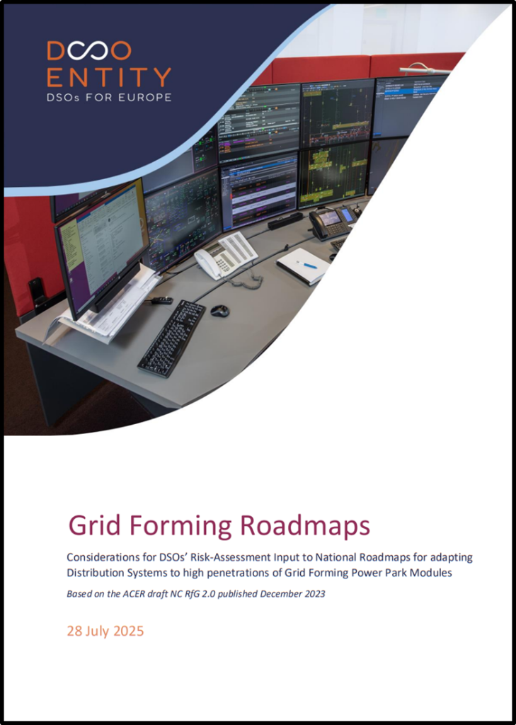 Grid Forming Roadmaps: Considerations for DSOs’ Risk-Assessment Input ...