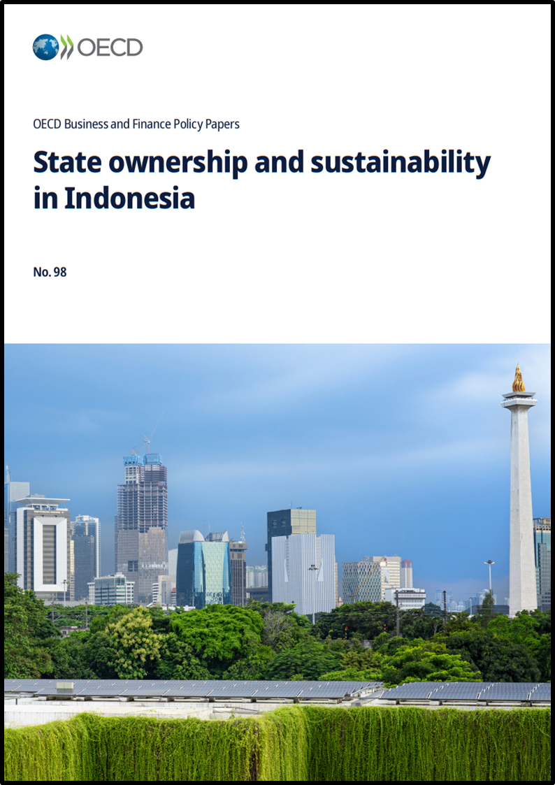 State ownership and sustainability in Indonesia