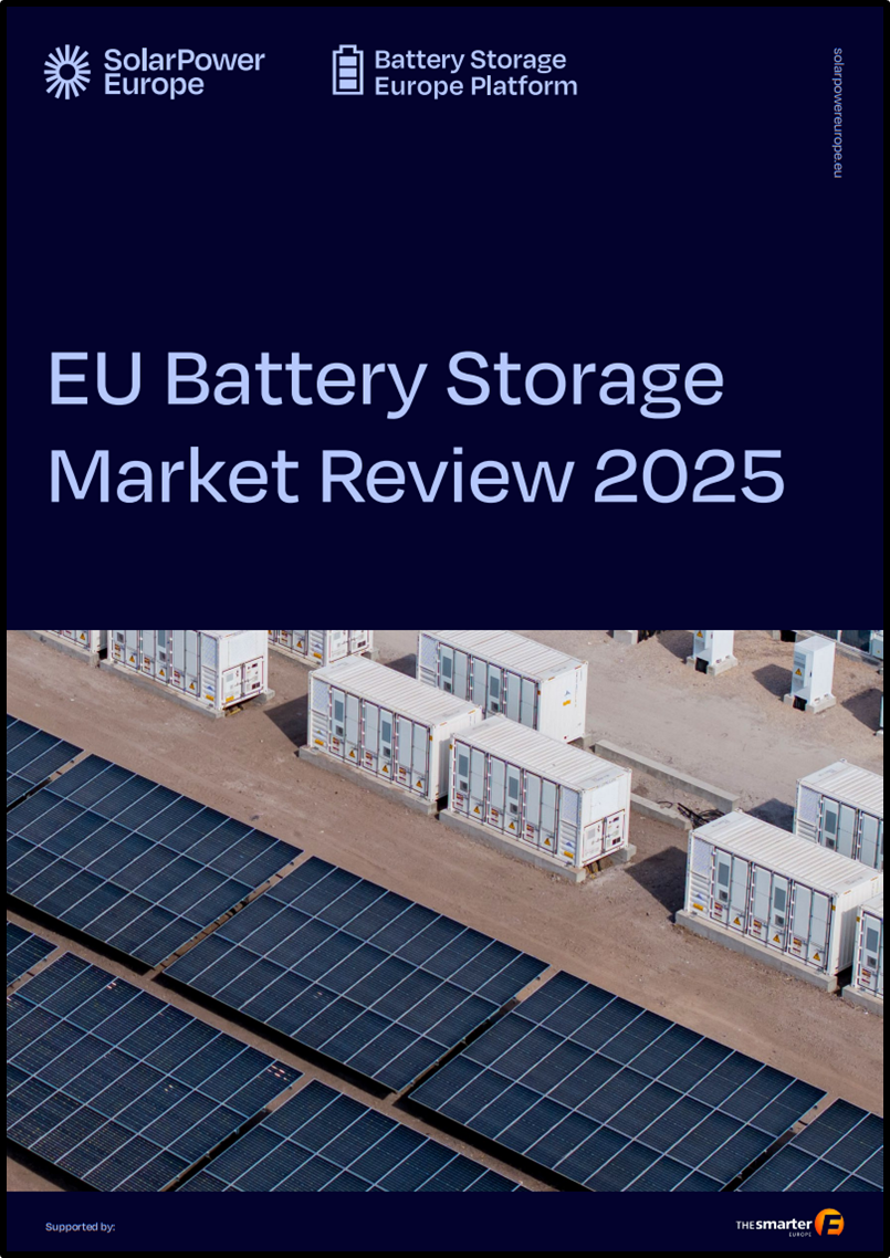 EU Battery Storage Market Review 2025