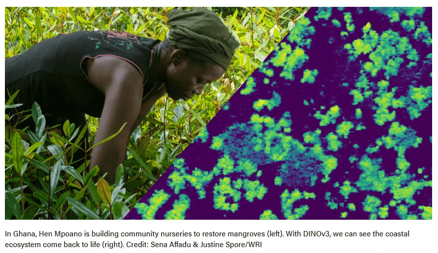 IA orienta financiamiento para restauración ecológica