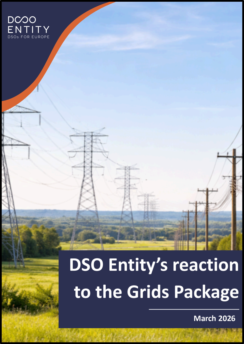 DSO Entity’s reactionto the Grids Package