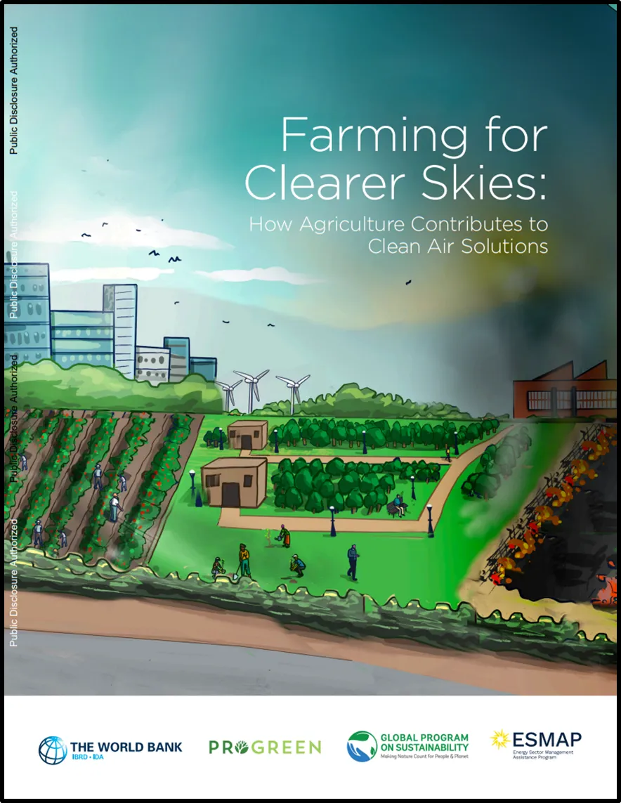 Farming for Clearer Skies: How Agriculture Contributes to Clean Air Solutions