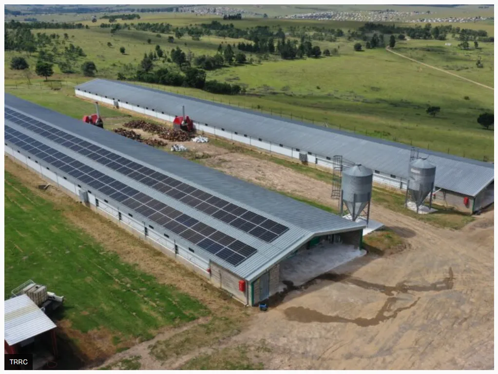 Instalaciones industriales asociadas a electrificación renovable y generación distribuida.