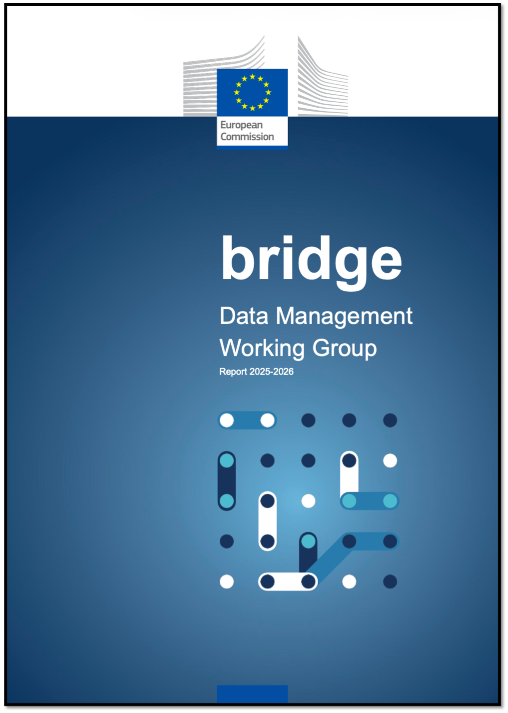 Data Management Working Group Report 2025-2026