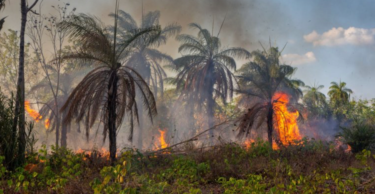 Paisaje natural afectado por variaciones climáticas asociadas al fenómeno El Niño.